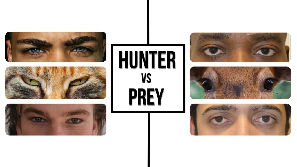 Hunter vs Prey Eyes