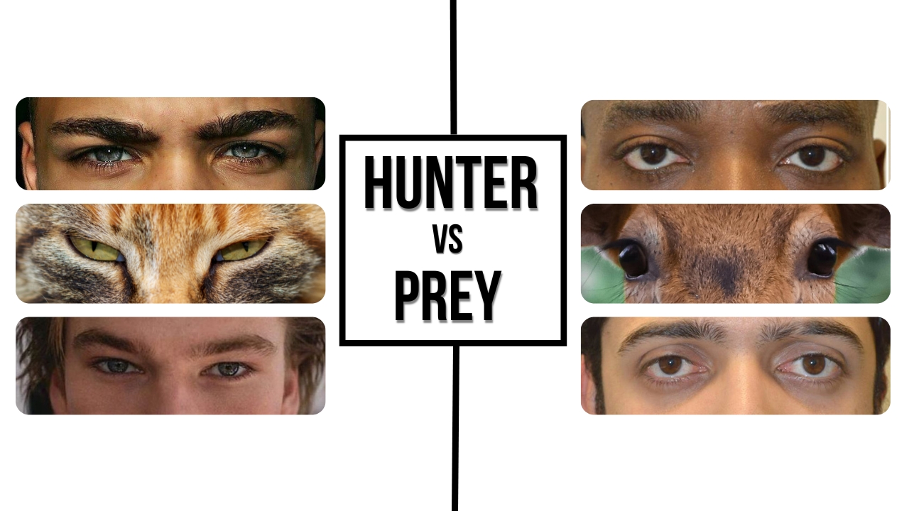 Hunter Eyes vs. Prey Eyes: Facial Attractiveness Explained